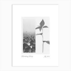 Morning Glory Botanical Collage 3 Art Print