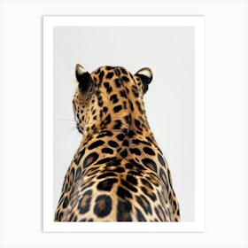 Back Of A Jaguar Art Print