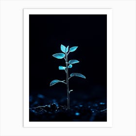 Plant In The Dark 44 Art Print