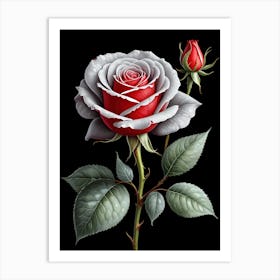 Red Rose On Black Background 4 Art Print