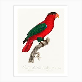 The Purple Naped Lory From Natural History Of Parrots, Francois Levaillant 1 Art Print