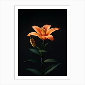 Orange Lily 5 Art Print