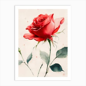 Red Rose Art Print