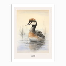 Vintage Bird Drawing Grebe 1 Poster Art Print