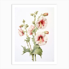 Pressed Flower Botanical Art Hollyhock 3 Art Print