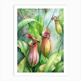 Pitcher Plants Art Print