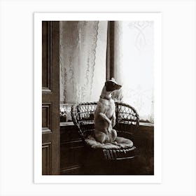 Sitting Dog In A Chair By A Window 1910 Art Print