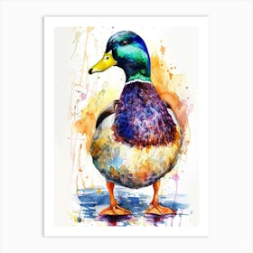Mallard Duck Colourful Watercolour 1 Art Print