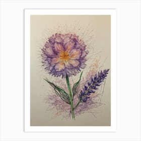 Carnation Art Print