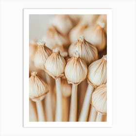 Garlic Bulbs Art Print