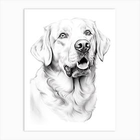 Labrador Retriever Dog, Line Drawing 3 Art Print