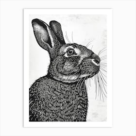 Cinnamon Blockprint Rabbit Illustration 3 Art Print