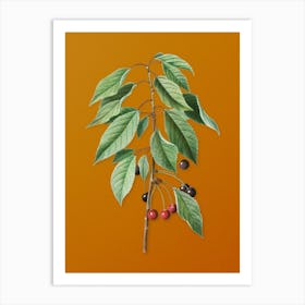 Vintage Wild Cherry Botanical on Sunset Orange n.0965 Art Print