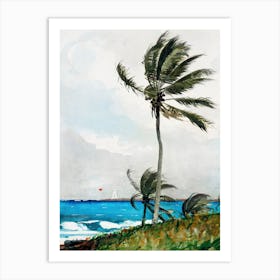 Palm Tree, Nassau, Winslow Homer Art Print