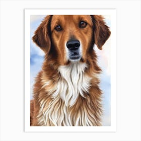 Berger Picard Watercolour Dog Art Print