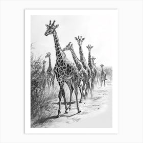 Herd Of Giraffes In The Grass Pencil Drawing 1 Art Print