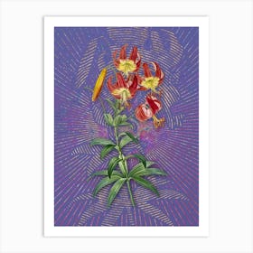 Vintage Turban Lily Botanical Illustration on Veri Peri Art Print