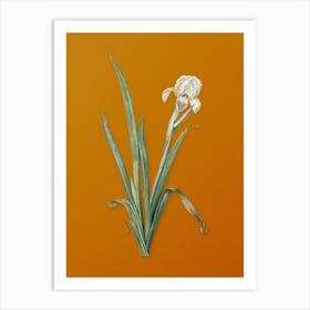 Vintage Crimean Iris Botanical on Sunset Orange n.0667 Art Print