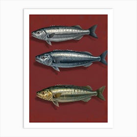 Three Sardines Art Print