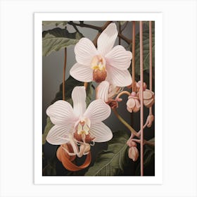 Flower Illustration Monkey Orchid 1 Art Print