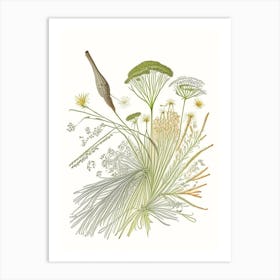 Caraway Spices And Herbs Pencil Illustration 1 Art Print