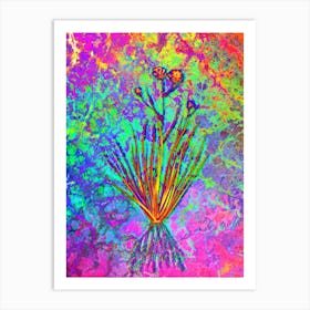 Blue Corn Lily Botanical in Acid Neon Pink Green and Blue n.0075 Art Print