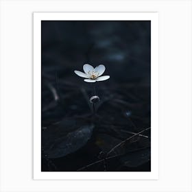 White Flower In Water 1 Art Print