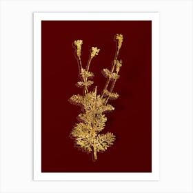 Vintage Spanish Lavender Botanical in Gold on Red n.0333 Art Print