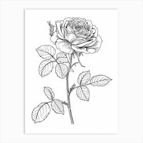 Roses Sketch 43 Art Print