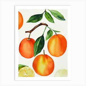 Tangerine Watercolour Fruit Painting Fruit Art Print