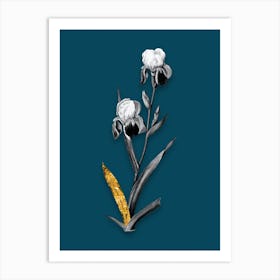 Vintage Elder Scented Iris Black and White Gold Leaf Floral Art on Teal Blue n.1104 Art Print