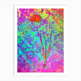 Ixia Filiformis Botanical in Acid Neon Pink Green and Blue n.0249 Art Print
