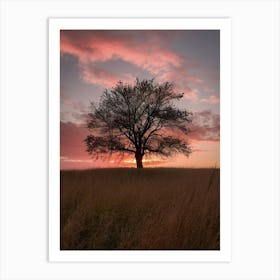 Sunset Tree 2 Art Print