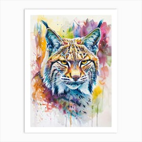 Bobcat Colourful Watercolour 1 Art Print