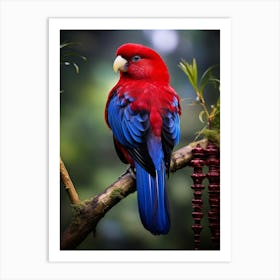 Nature's Palette: Rosella Jungle Bird Wall Art Art Print