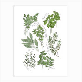 Kitchen Herbs Art Print