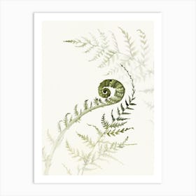 'Young Fern II' No 543 by Aga Szafranska Art Print