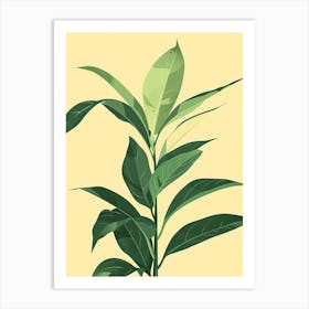 Chinese Evergreen Plant Minimalist Illustration 2 Art Print