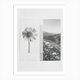 Marigold Flower Photo Collage 2 Art Print