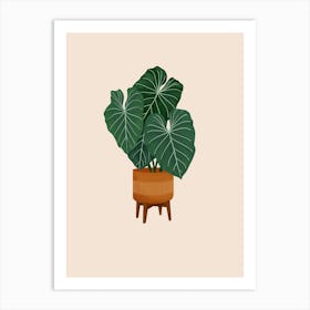 Colocasia Plant Art Print