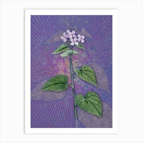 Vintage Morning Glory Flower Botanical Illustration on Veri Peri n.0652 Art Print