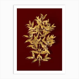 Vintage Phillyrea Tree Branch Botanical in Gold on Red n.0034 Art Print