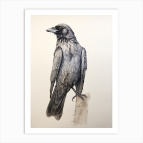 Vintage Bird Drawing Raven 2 Art Print