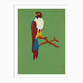 Falcon Midcentury Illustration Bird Art Print