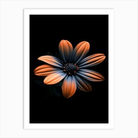 Flower On A Black Background 2 Art Print