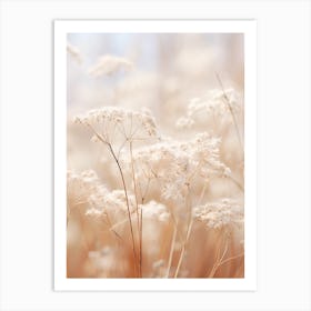 Boho Dried Flowers Gypsophila 5 Art Print