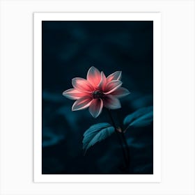 Dahlia Flower 13 Art Print