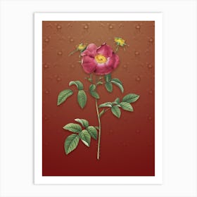Vintage Stapelia Rose Bloom Botanical on Falu Red Pattern Art Print