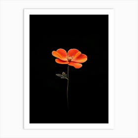 Single Orange Flower 15 Art Print