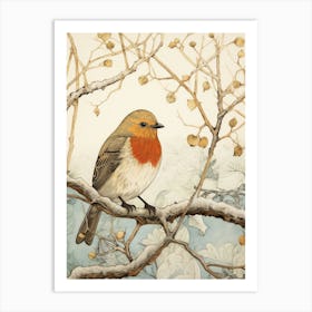 Bird Illustration European Robin 4 Art Print